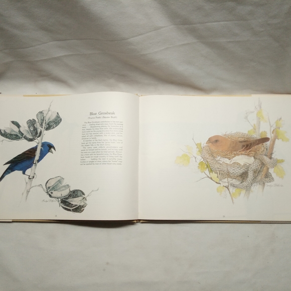 Window on the Prairie: An Artist's Perspective [Signed by Artist and Author] - Picture 4 of 12